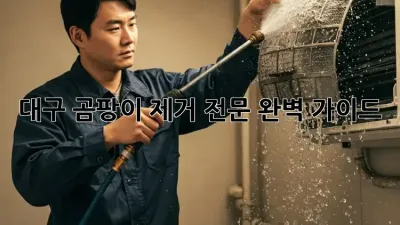 대구 곰팡이 제거 전문: 완벽 가이드